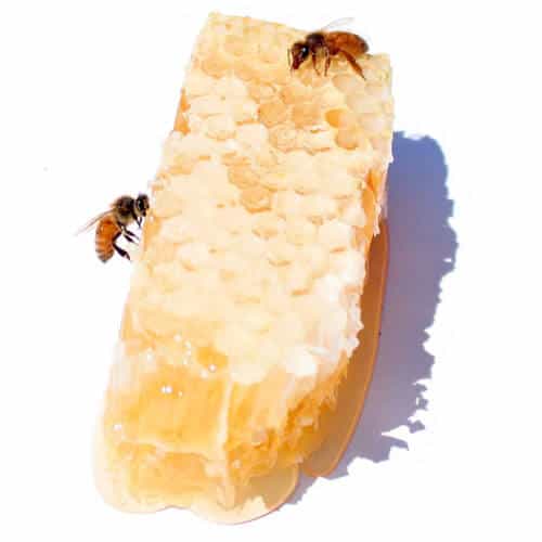 Hair Wax For All: DIY Experiment from a #nextgenbeekeeper - The Best Bees  Company