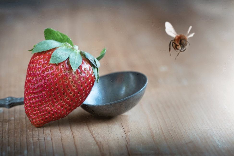 Strawberry bee