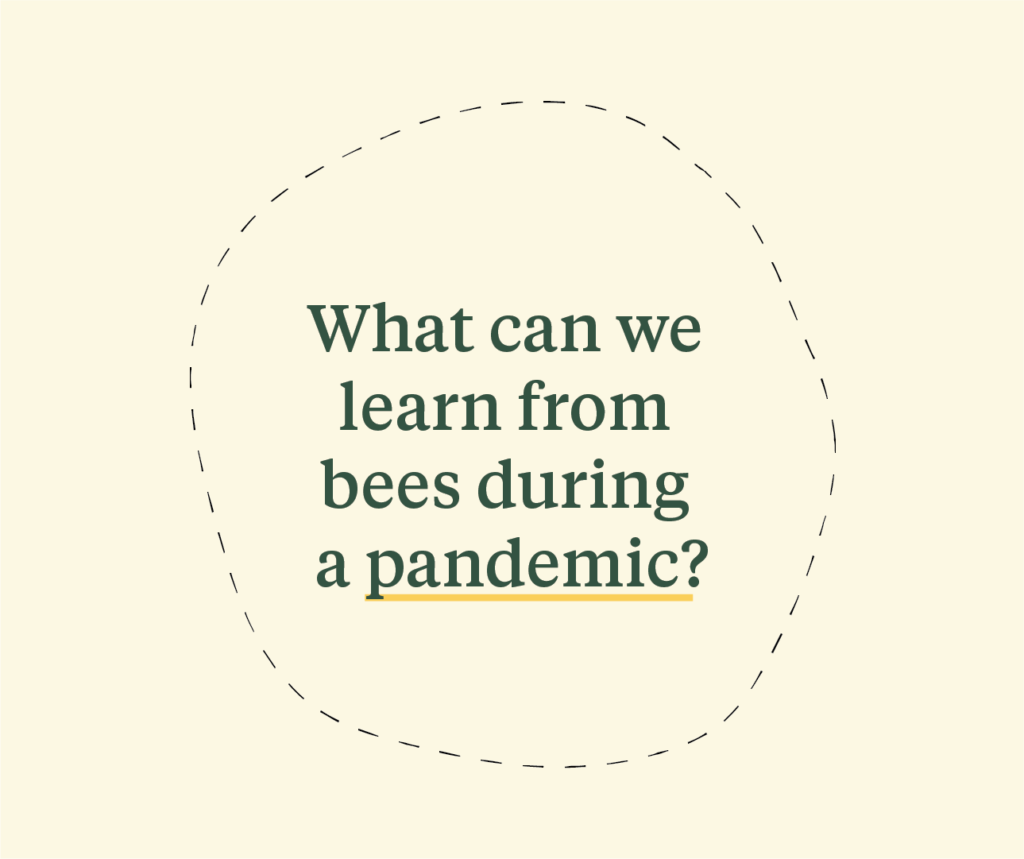 Pandemic_1