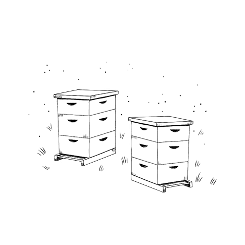best_bees_installation_illustration_485