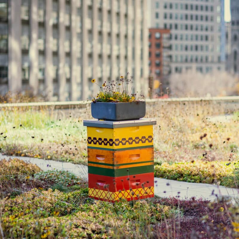 multi-colored custom beehive on the rooftop of the four seasons hotel