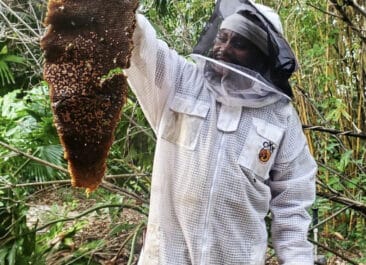 Next-Gen Beekeeper, Oxx