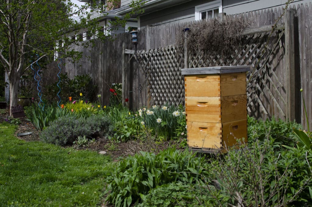 Beautiful backyard beehive in a lush green garden