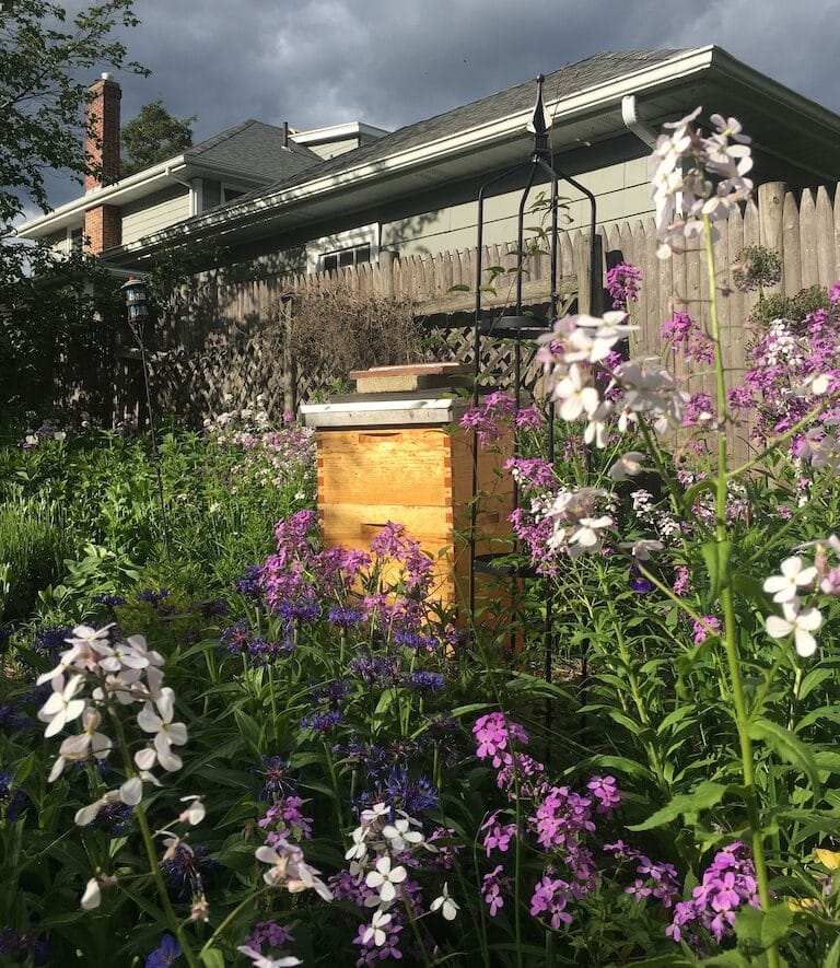 Beehive in a summer garden