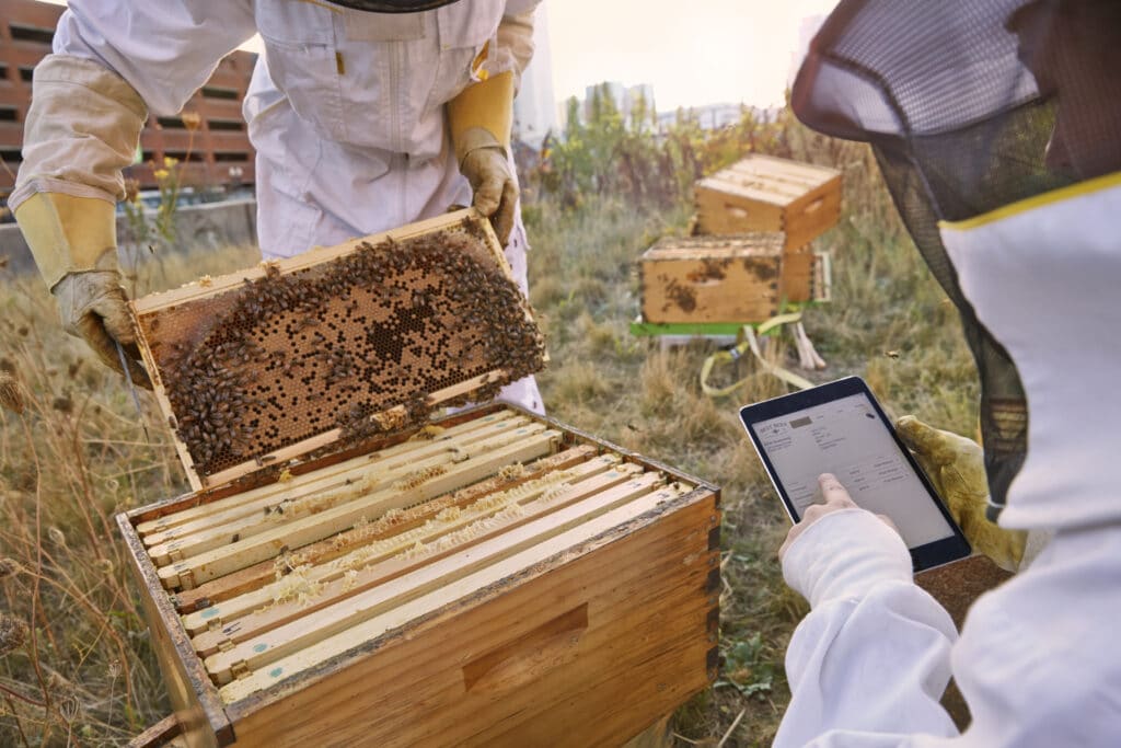 Best Bees beekeepers using science to protect pollinators/