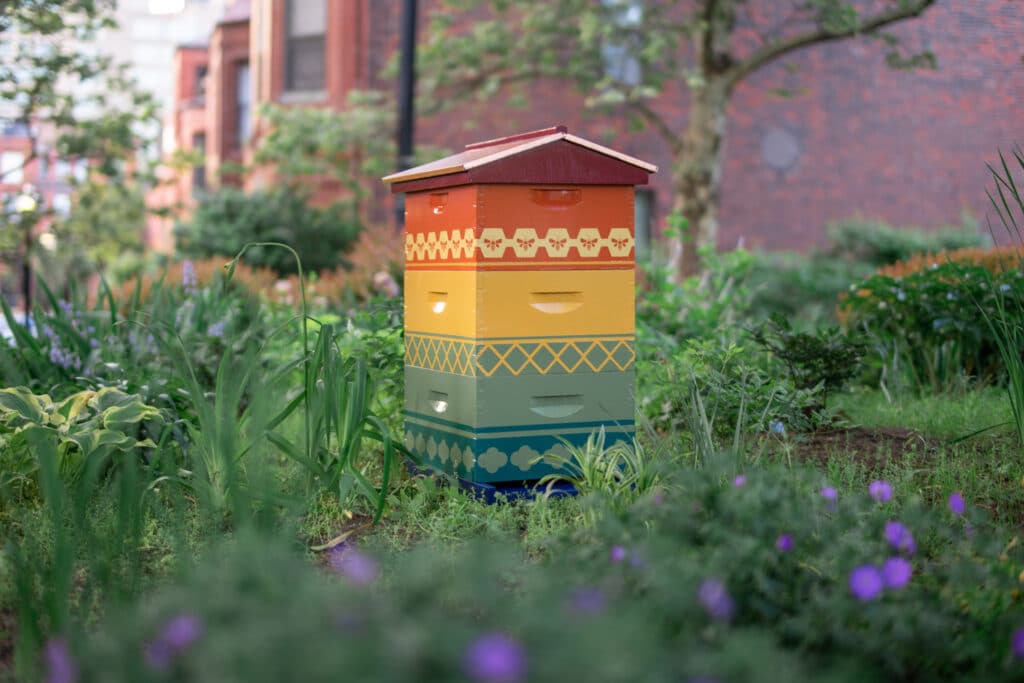 Best Bees Rainbow painted beehive. 
