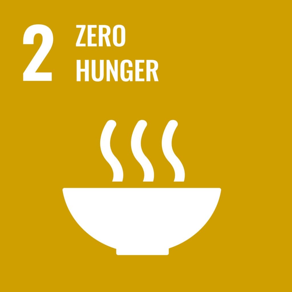 United Nations' Zero Hunger Logo. 