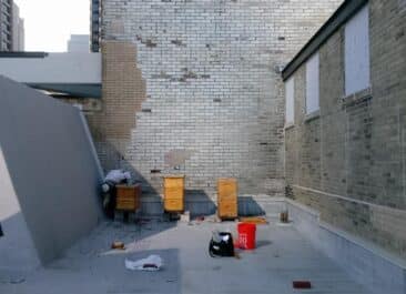 Rooftop beehive installation
