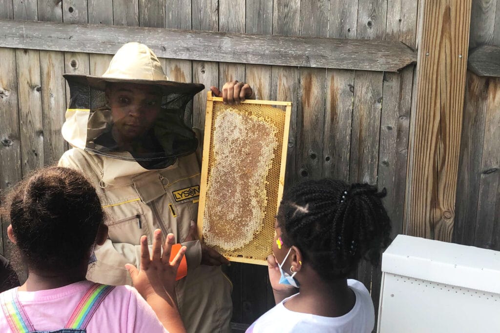 Beekeeper Che Ashley visits Bridge Boston Charter School for beekeeping lessons.