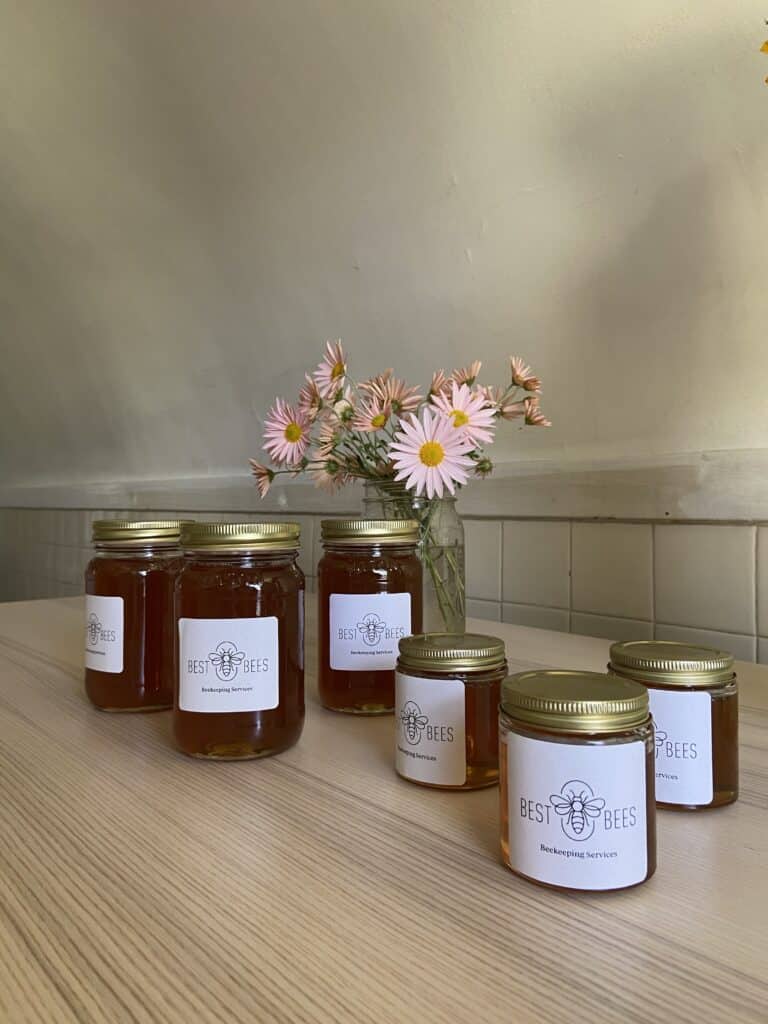 Freshly filtered honey bottled in Best Bees labeled jars