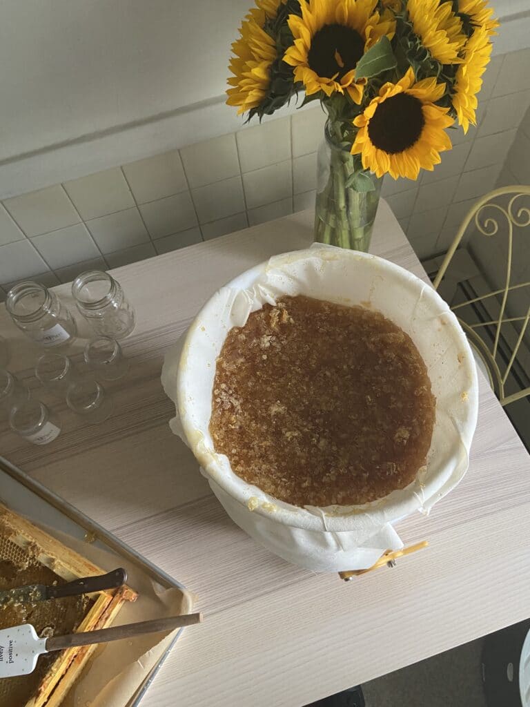 Filtering fresh raw honey with a cheesecloth