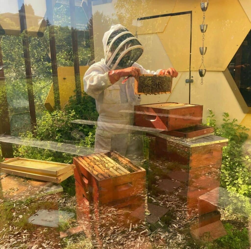 beekeeper holding a frame of beehives behind class in an urban exhibit