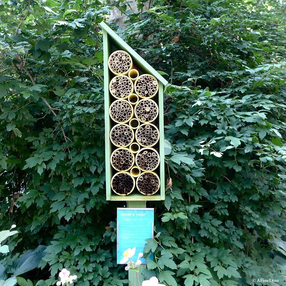 A native bee hotel surrounded by greenery, in an urban park