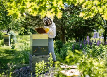 beekeeper at beehive in green garden