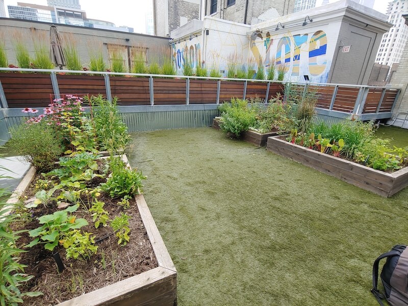 outdoor garden space with vegetable boxes and city scape – vegetation in urban areas promotes higher air quality, which falls under the climate action category of the UN's SDGs. 