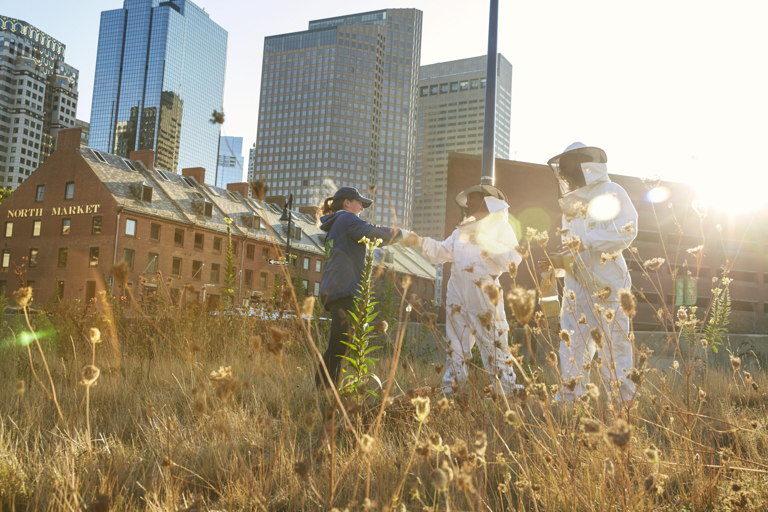 beekeepers on a rooftop after installing a hive