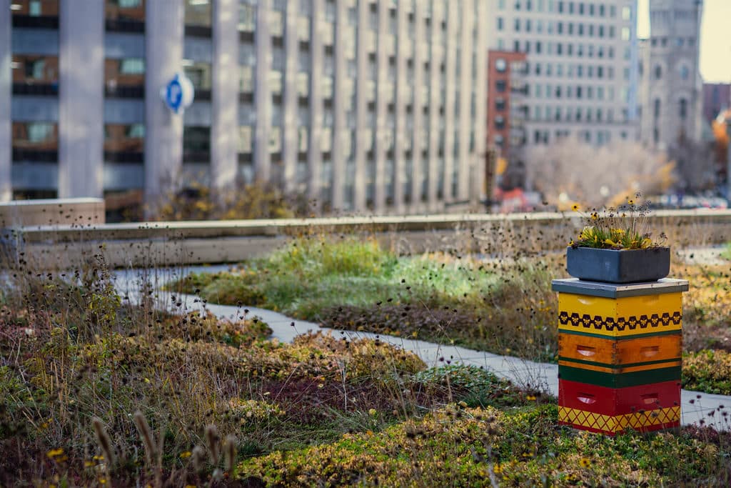 Colorful custom beehive on hotel rooftop example of urban beekeeping