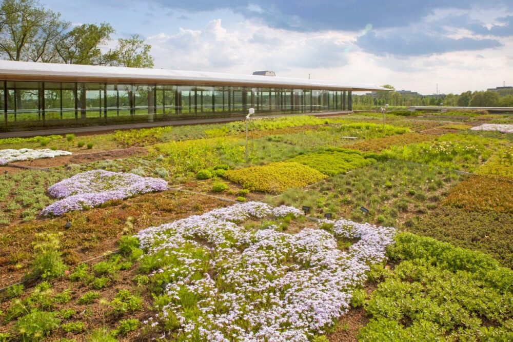 benefits-of-green-roofs-plus-10-beautiful-green-roofs-in-the-united