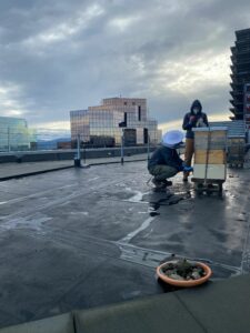 Seattle rooftop beehive installation 