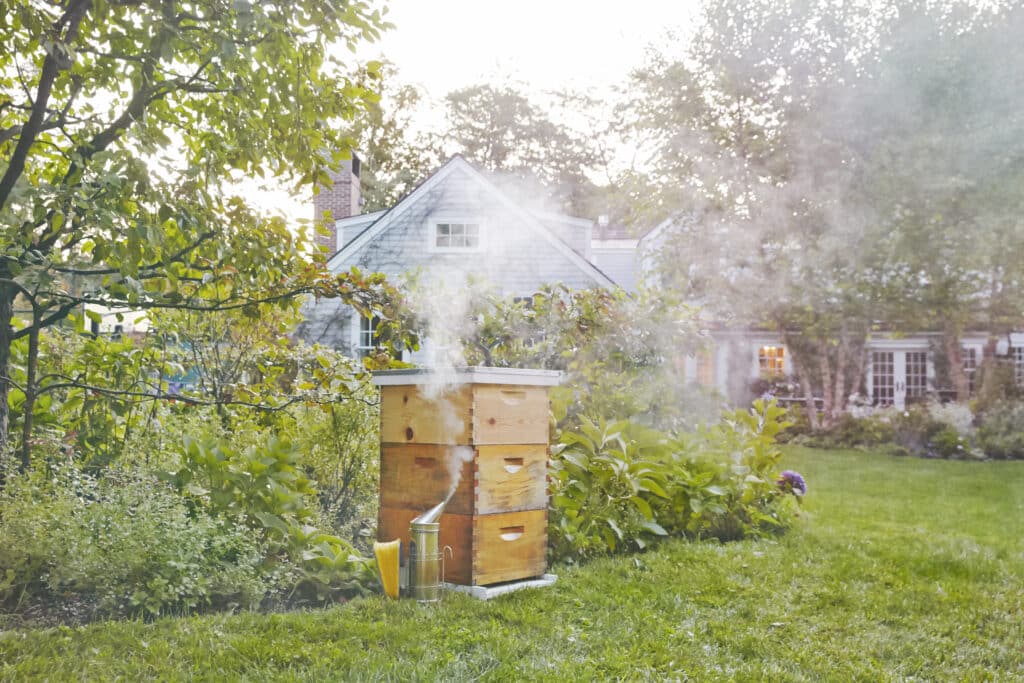 Residential beehive with a smoker next to it, demonstrating methods our beekeepers use to reassure clients with a phobia of bees