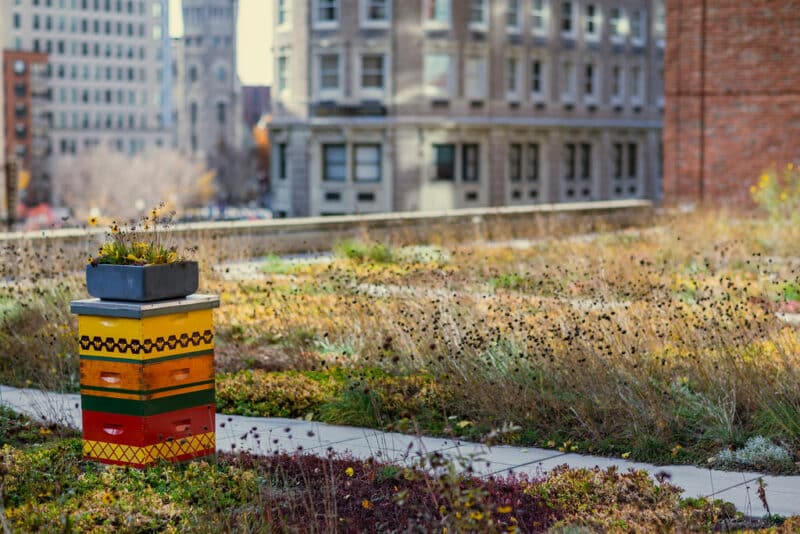 Colorful beehive on rooftop, demonstrating a means of overcoming bee fear