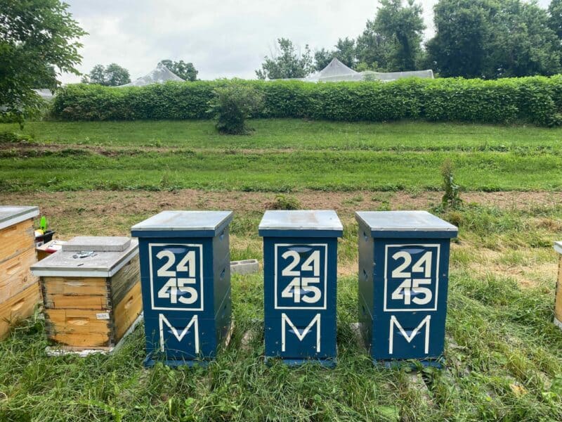 Custom blue painted hives for Beacon Capital Partners marks the property street address.