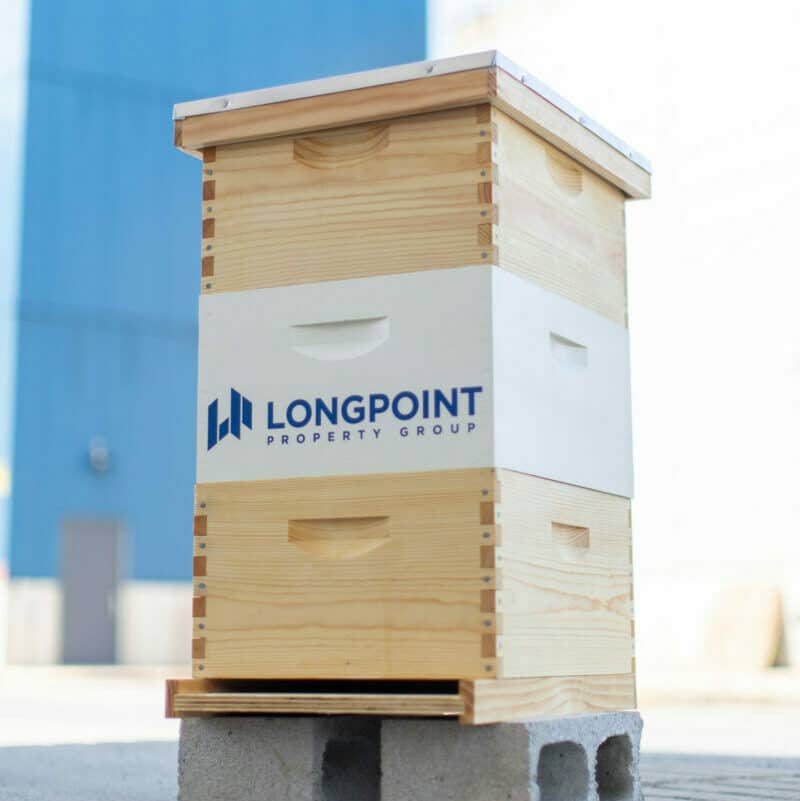 Custom painted beehive for Longpoint Property Group, minimalistic and simple urban beekeeping benefits