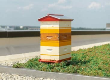 Custom painted beehives on the rooftop of a commercial real estate building, yellow and red