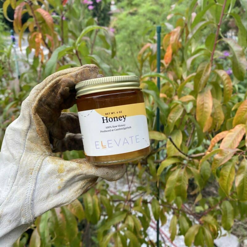 Gloved hand holding branded honey jar with custom label outside in a garden