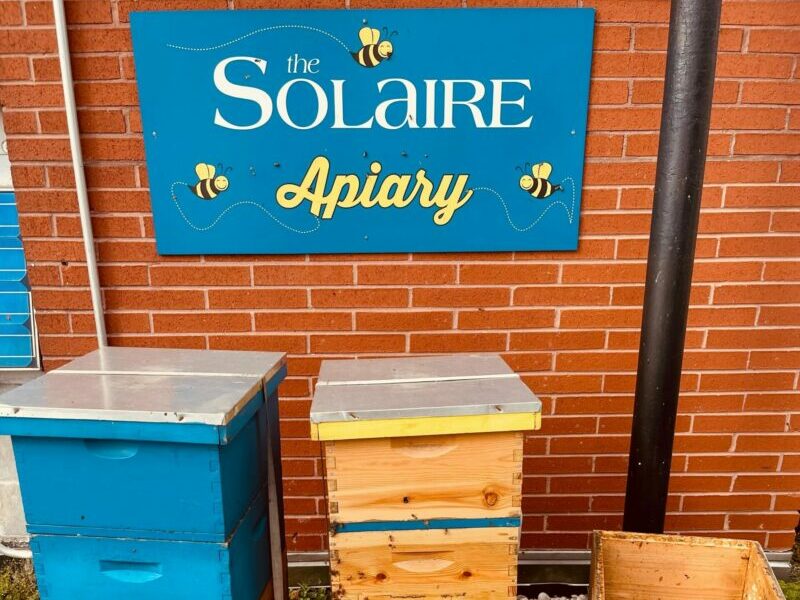 Two custom painted beehives for an apartment building in New York City