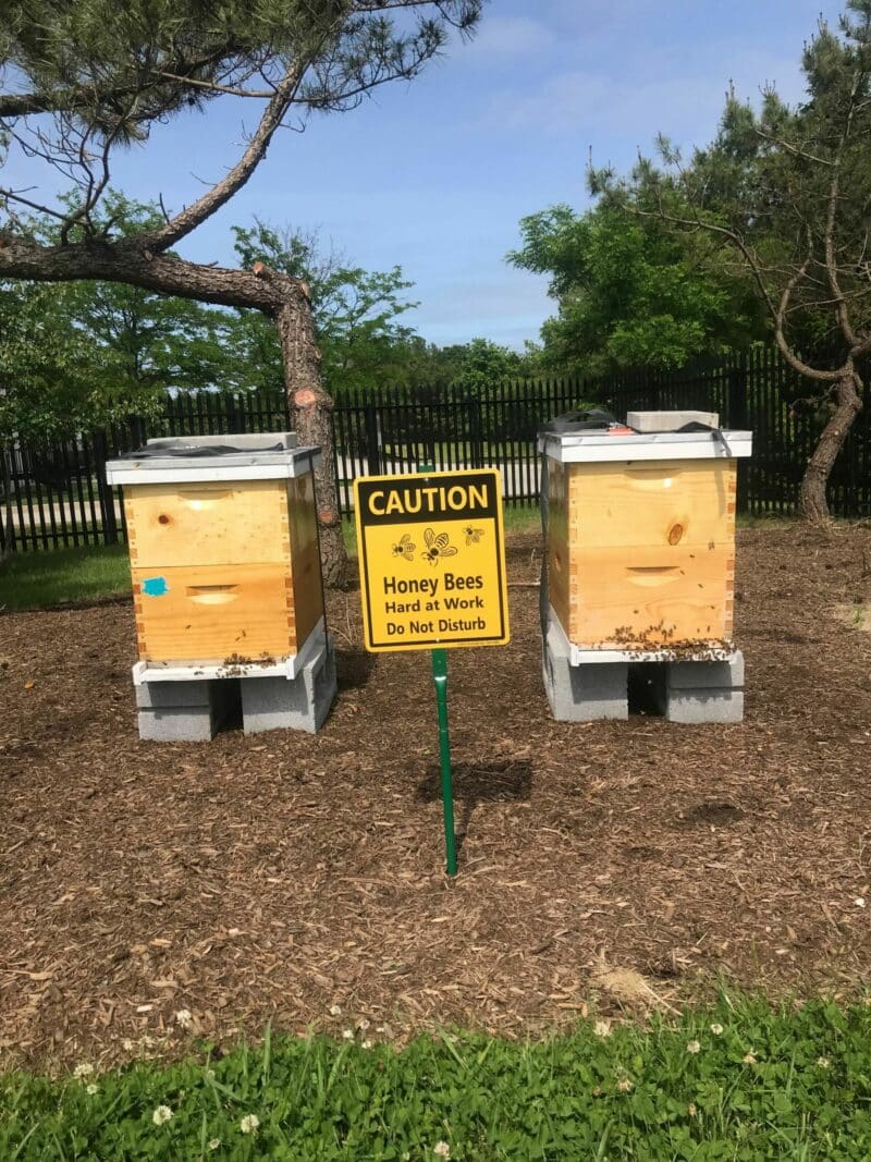 two beehives with a sign in front with humorous notice to not disturb the bees