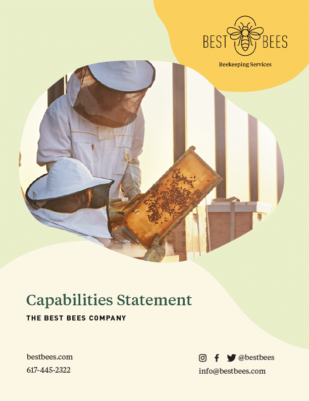 Capabilities Brief cover page
