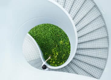 stairwell leading to green space outside for a holistic approach to a green building