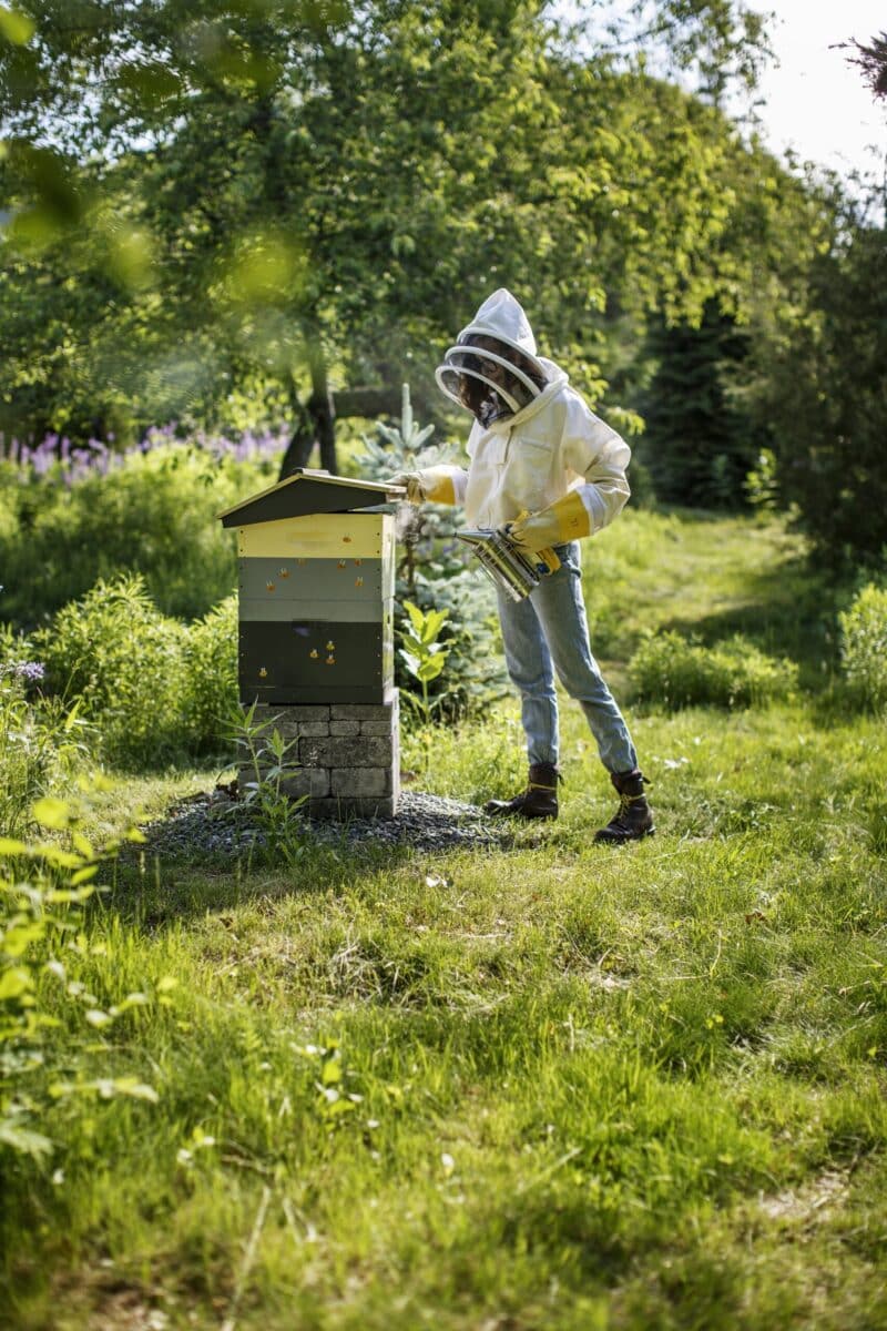 Best Bees beekeeper tends to a hive on a lush green property with a WELL Building Standard Certification
