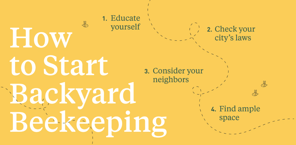 infographic describing the steps to start backyard beekeeping