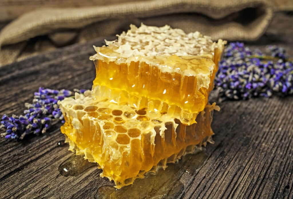 Honeycomb: One of Nature's Most Beautiful and Useful Structures