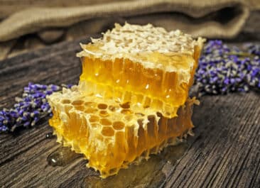 two blocks of honeycomb on a wood table with lavender