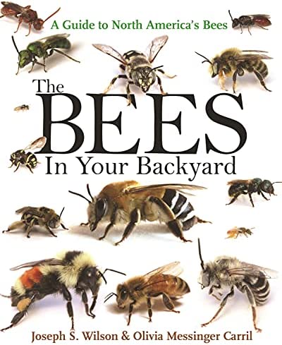 Five myths about bees: The truth about these remarkable insects, Stories