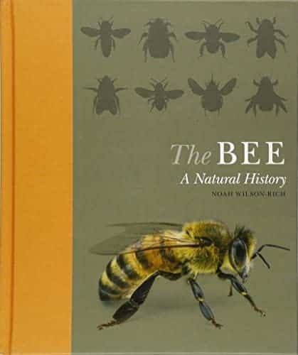 Bee Themed Gifts-That are Truly Buzz Worthy - Carolina Honeybees