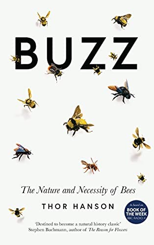 Picture Books about Bees