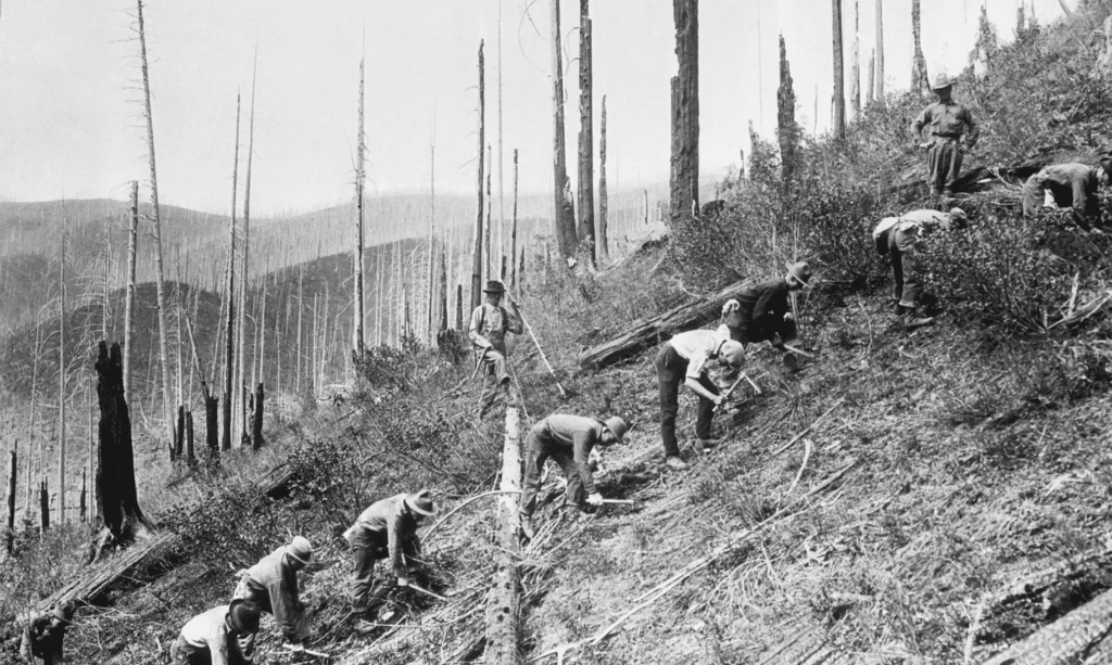 historical black-and-white photo of Civilian Conservation Corps (CCC) members planting trees on a clear-cut hillside.