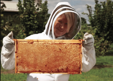 Famous beekeepers include Martha Stewart, holding a full frame of honey while wearing a beekeeping suit.