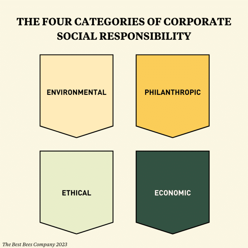 Infographic showing the four categories of corporate social responsibility in four different colored banners on a cream background.