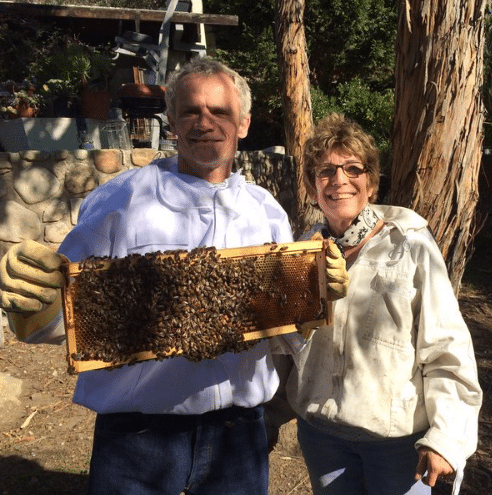 Flea holding a frame from a beehive