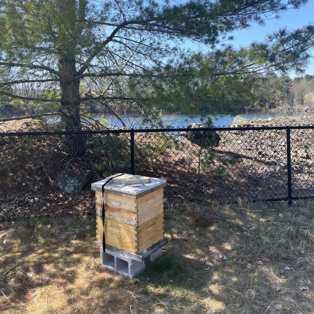 beehive in front of fence in front of lake