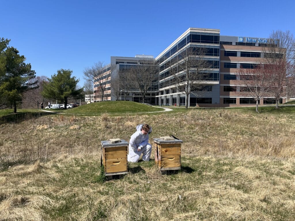 beekeeper kneels in front of beehives at 201 jones BXP