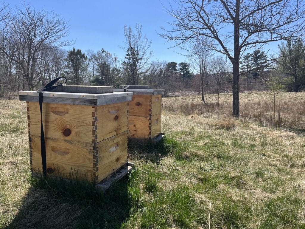 Side shot of beehives in field