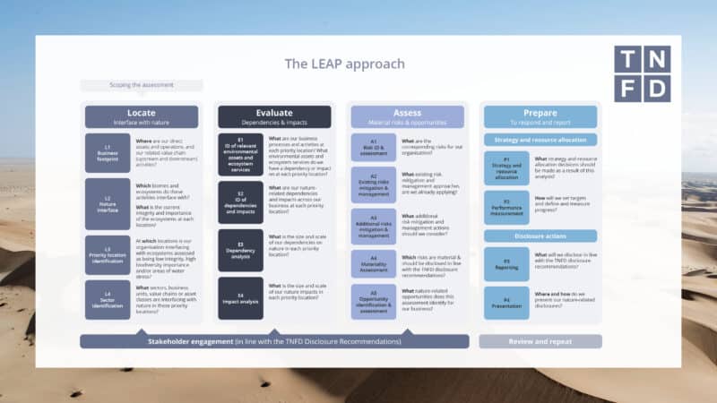 A table demonstrating the LEAP approach for the TNFD framework