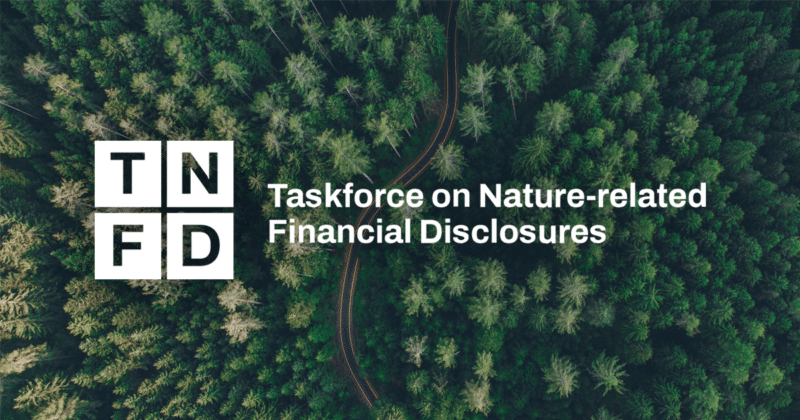 The words TNFD Taskforce on Nature-Related Financial Disclosures on top of a background of trees