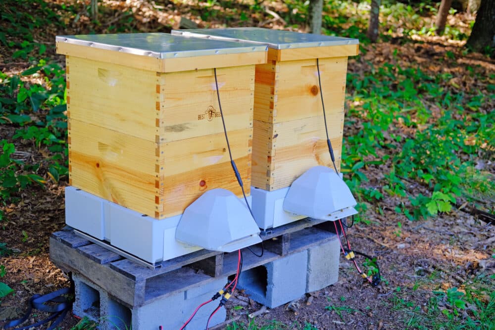 two smarthives sit next to each other in an apiary